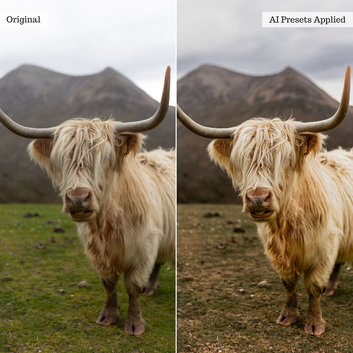 Landscape, Wildlife &amp; Animals Artificial Intelligence (AI) Retouch Toolkit Lightroom Presets – Desktop