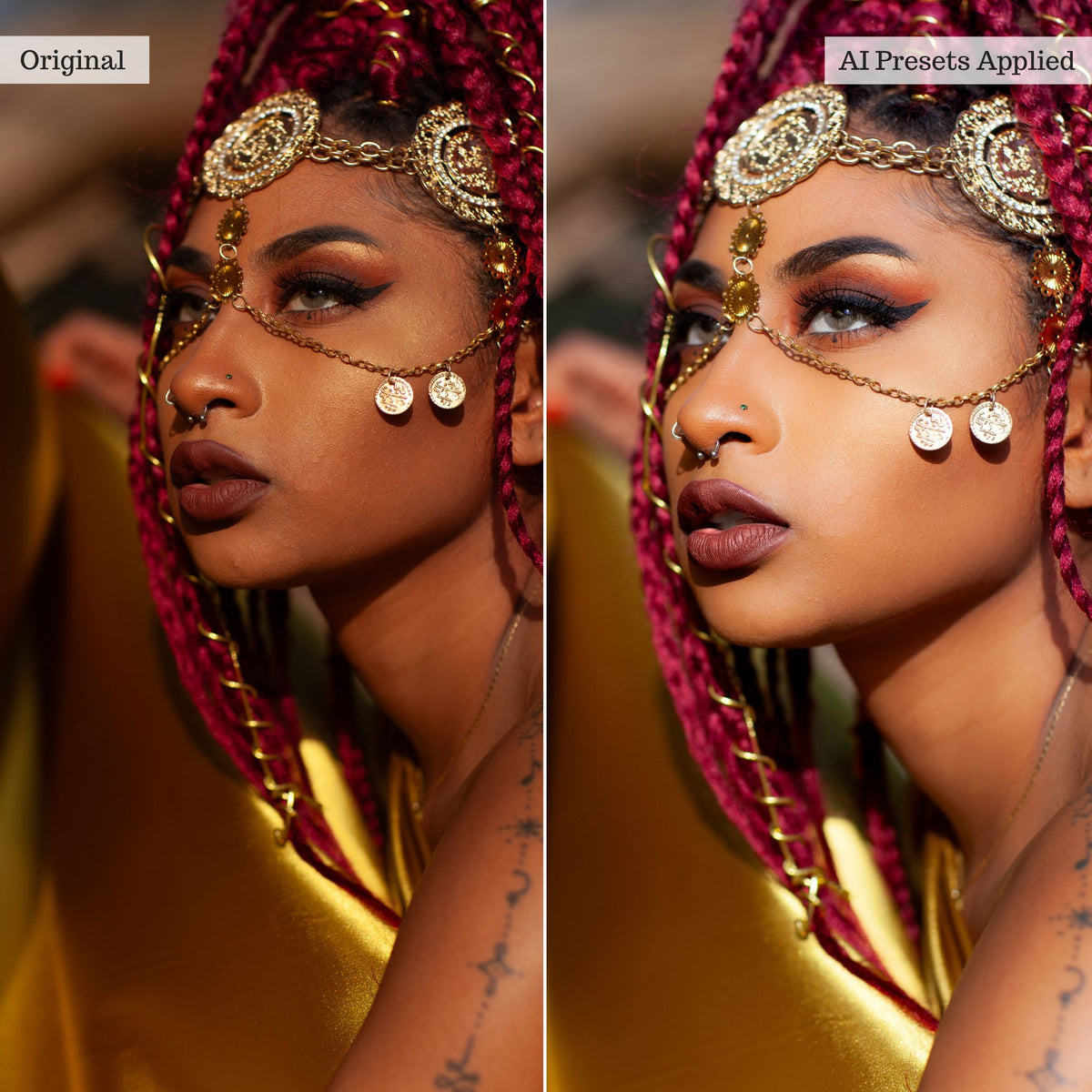 Beauty, Body, and Skin Artificial Intelligence (AI) Retouch Toolkit Lightroom Presets – Desktop
