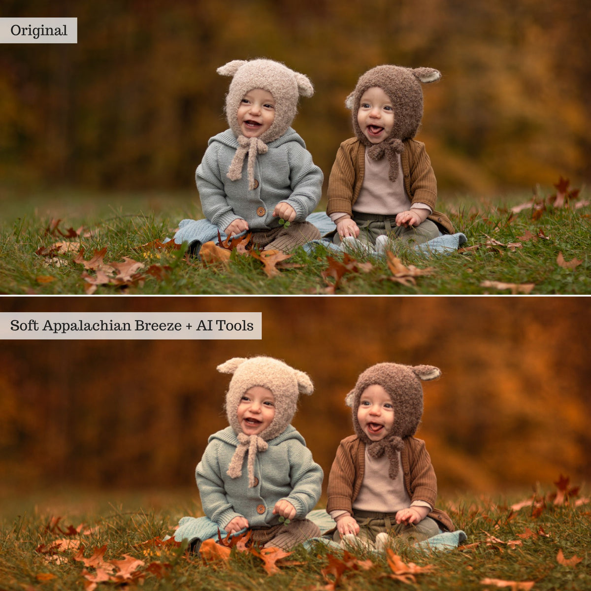 Luxe Hint of Spice Autumn Lightroom Presets &amp; AI Tools – Desktop &amp; Mobile