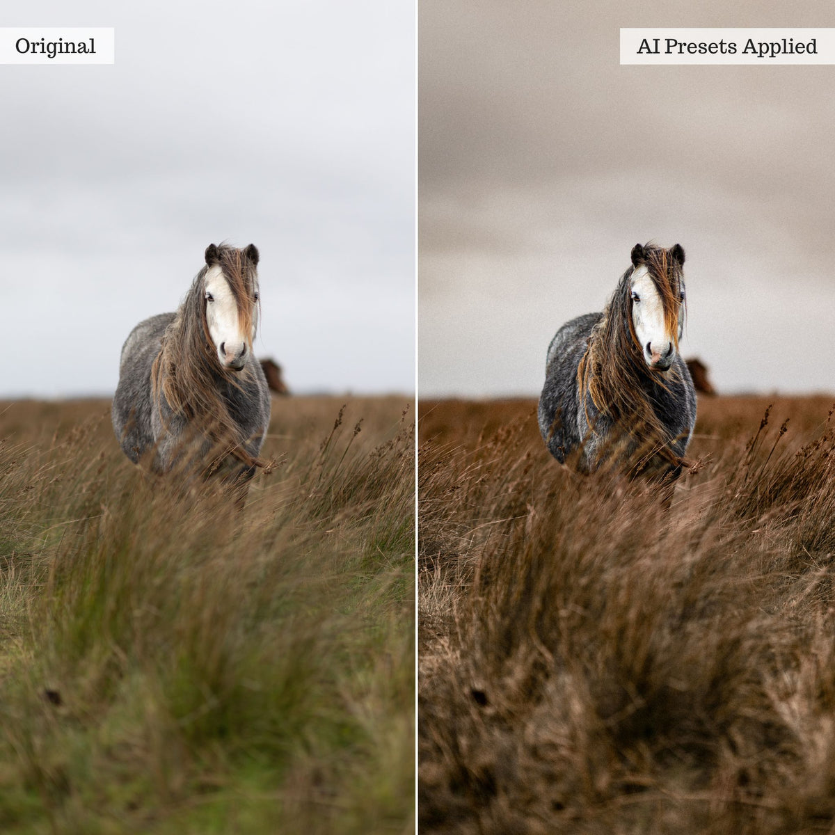 Landscape, Wildlife &amp; Animals Artificial Intelligence (AI) Retouch Toolkit Lightroom Presets – Desktop