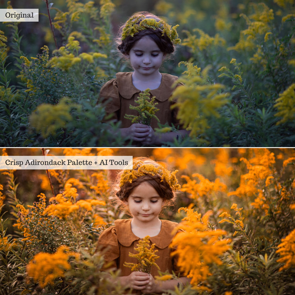 Luxe Hint of Spice Autumn Lightroom Presets &amp; AI Tools – Desktop &amp; Mobile