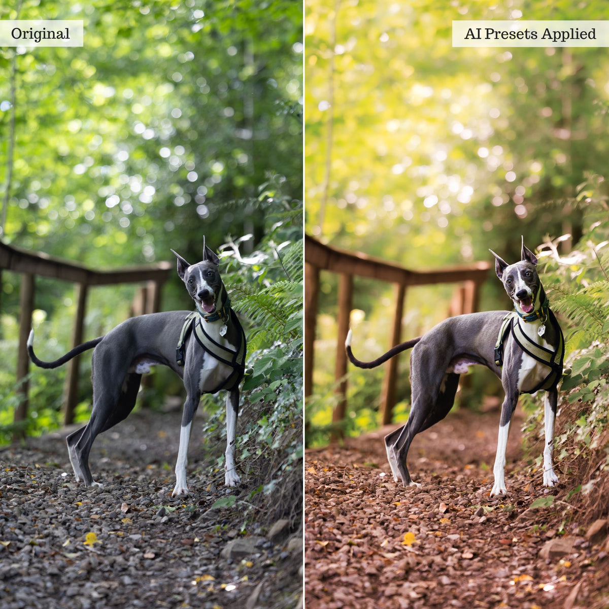 Landscape, Wildlife &amp; Animals Artificial Intelligence (AI) Retouch Toolkit Lightroom Presets – Desktop