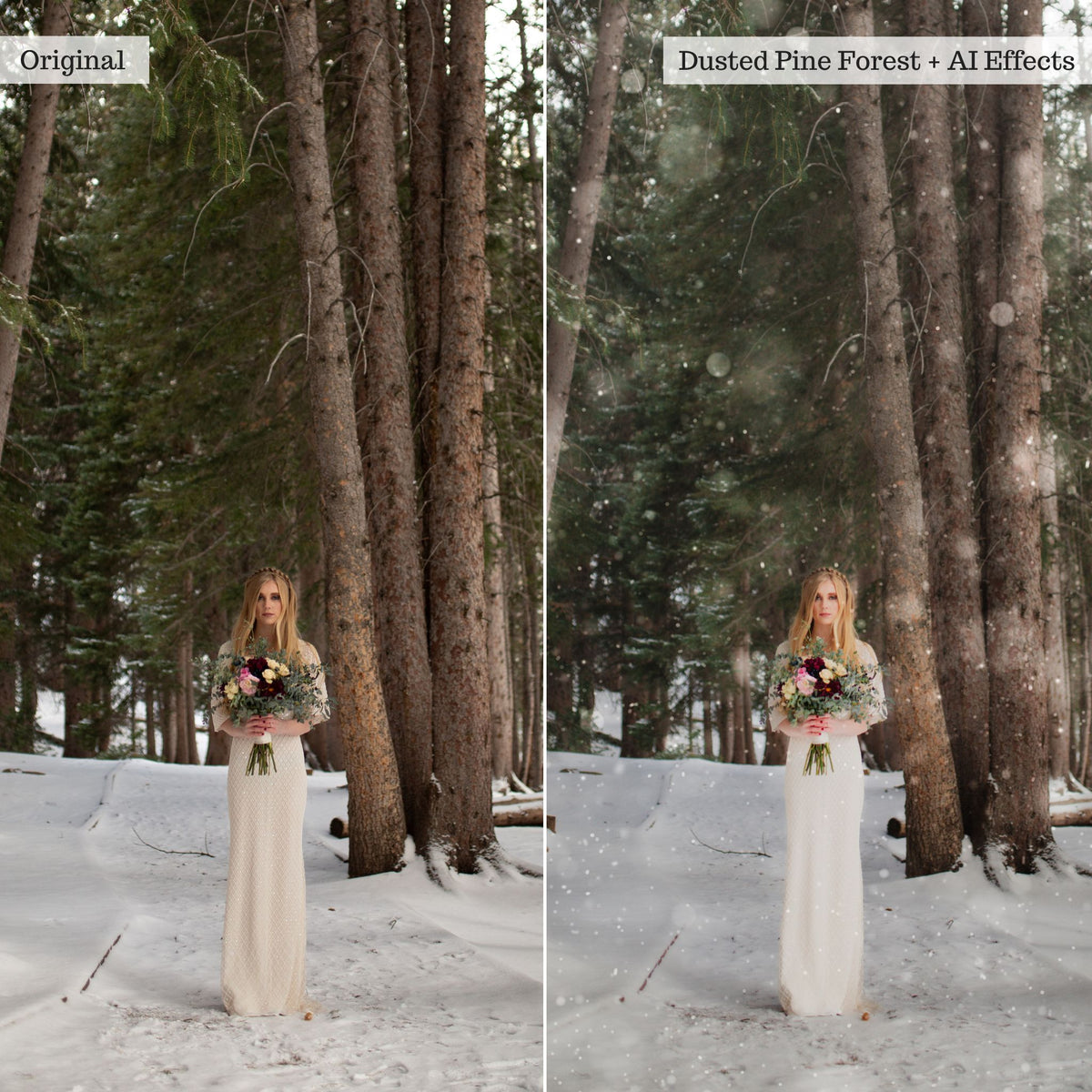 Snow Days Winter Lightroom Presets &amp; AI Tools – Desktop &amp; Mobile