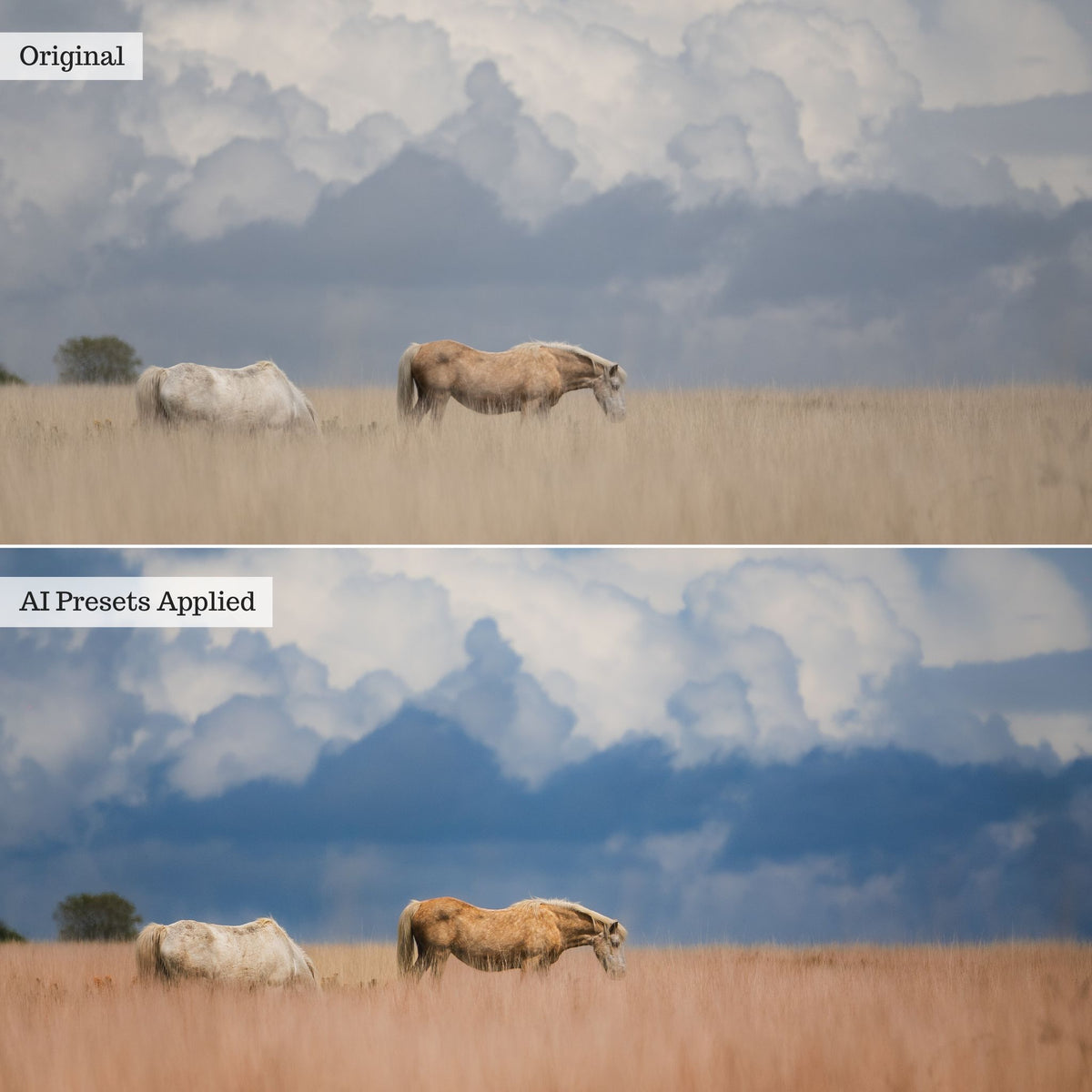 Landscape, Wildlife &amp; Animals Artificial Intelligence (AI) Retouch Toolkit Lightroom Presets – Desktop