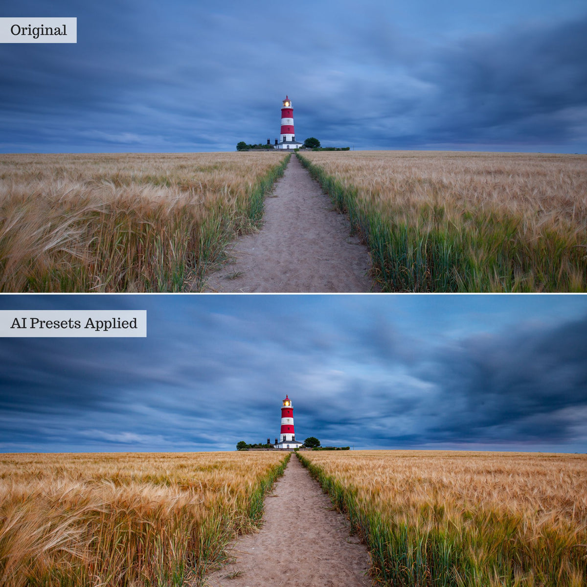 Landscape, Wildlife &amp; Animals Artificial Intelligence (AI) Retouch Toolkit Lightroom Presets – Desktop