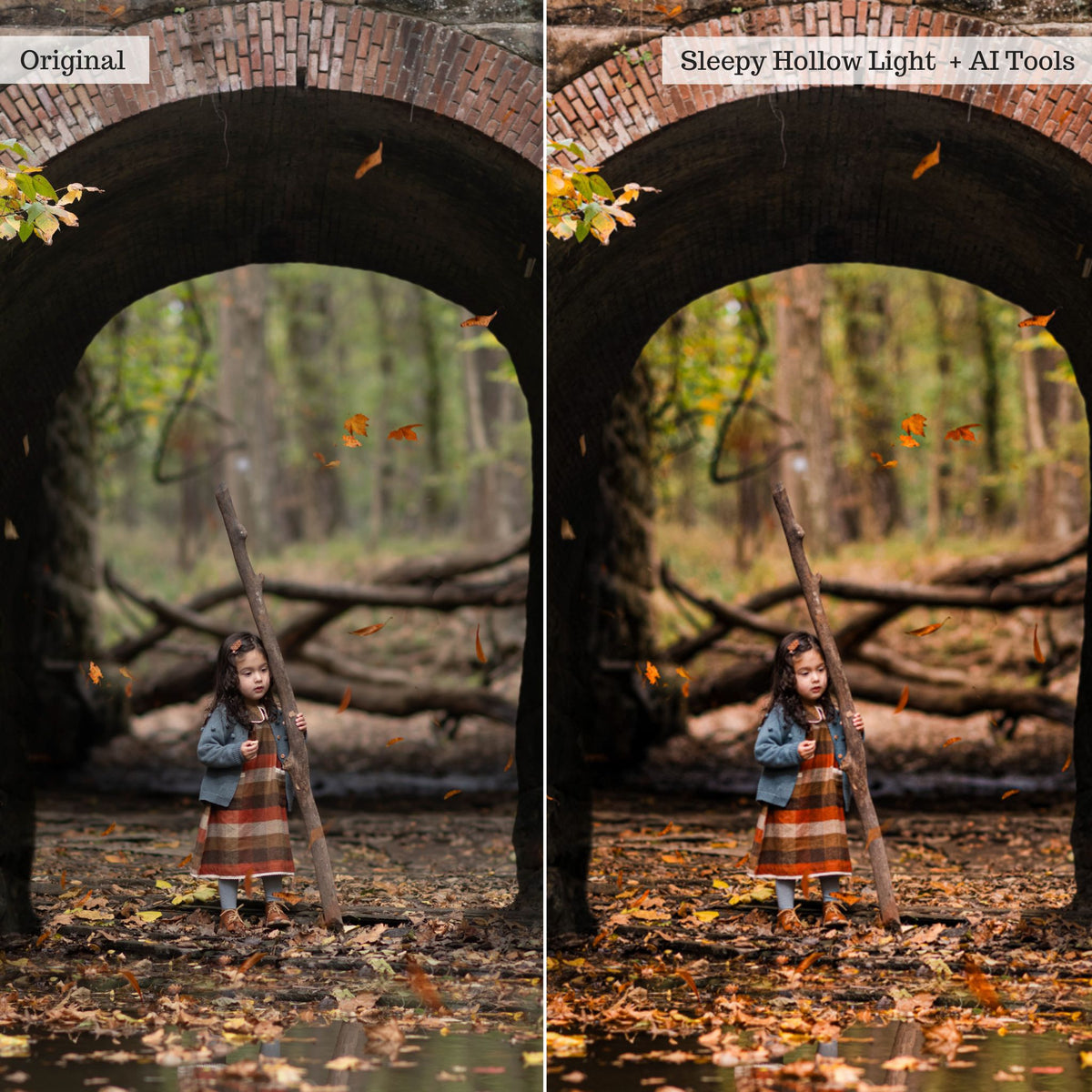 Luxe Hint of Spice Autumn Lightroom Presets &amp; AI Tools – Desktop &amp; Mobile