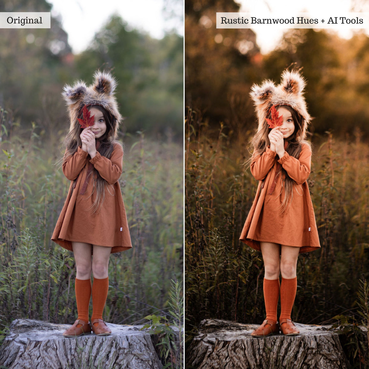 Luxe Hint of Spice Autumn Lightroom Presets &amp; AI Tools – Desktop &amp; Mobile