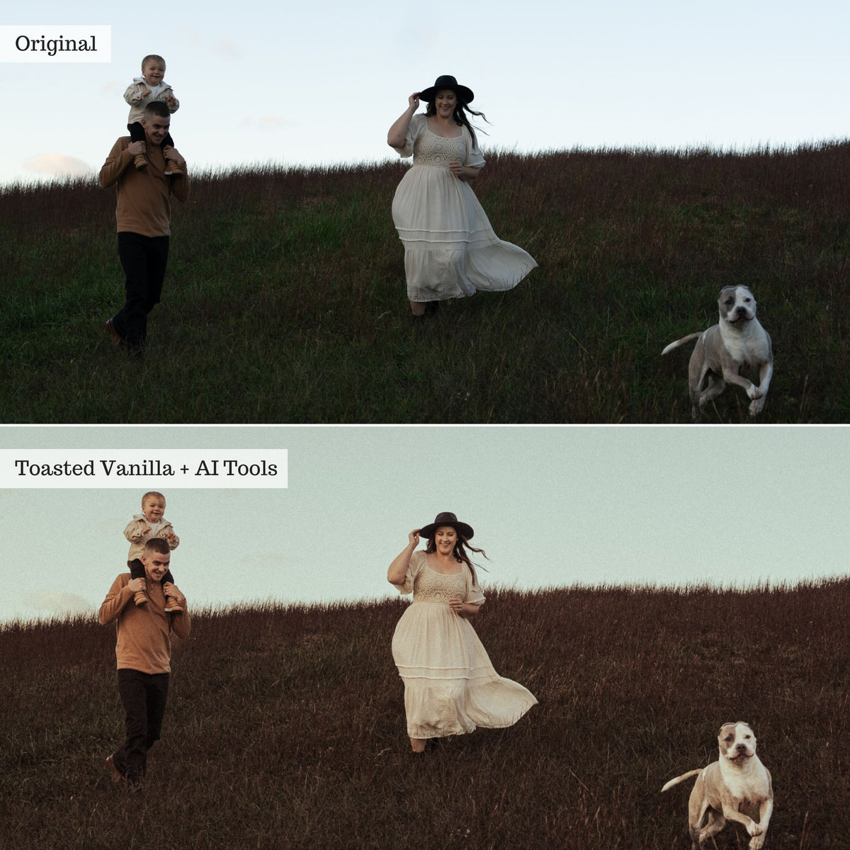 DigiFilm | Autumn Spice 2.0 Lightroom Presets &amp; AI Tools