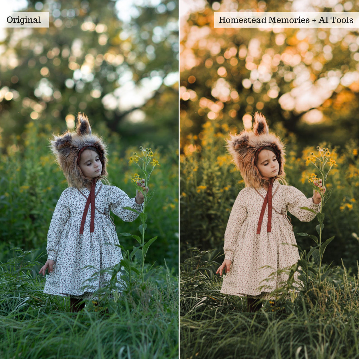 Luxe Hint of Spice Autumn Lightroom Presets &amp; AI Tools – Desktop &amp; Mobile