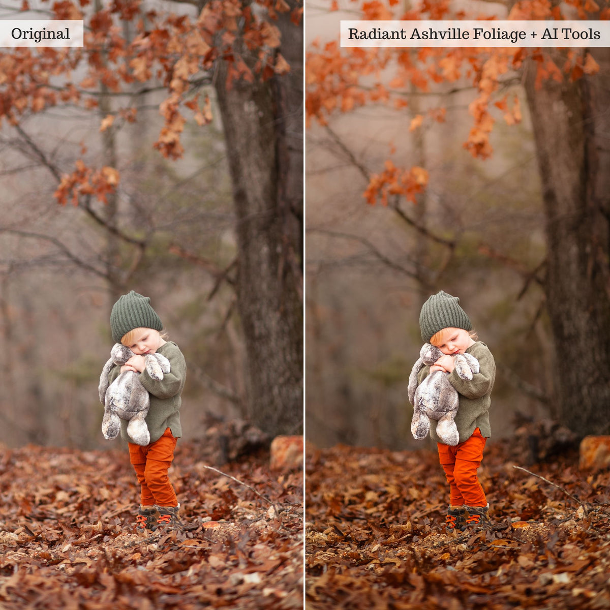 Luxe Hint of Spice Autumn Lightroom Presets &amp; AI Tools – Desktop &amp; Mobile