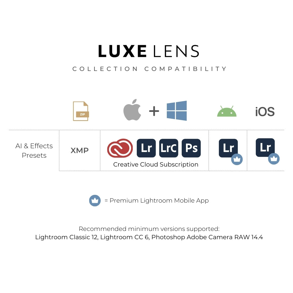 Luxe Quick Fix Artificial Intelligence (AI) Toolkit Lightroom Presets – Desktop