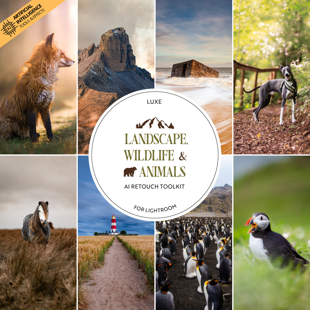 Landscape, Wildlife &amp; Animals Artificial Intelligence (AI) Retouch Toolkit Lightroom Presets – Desktop